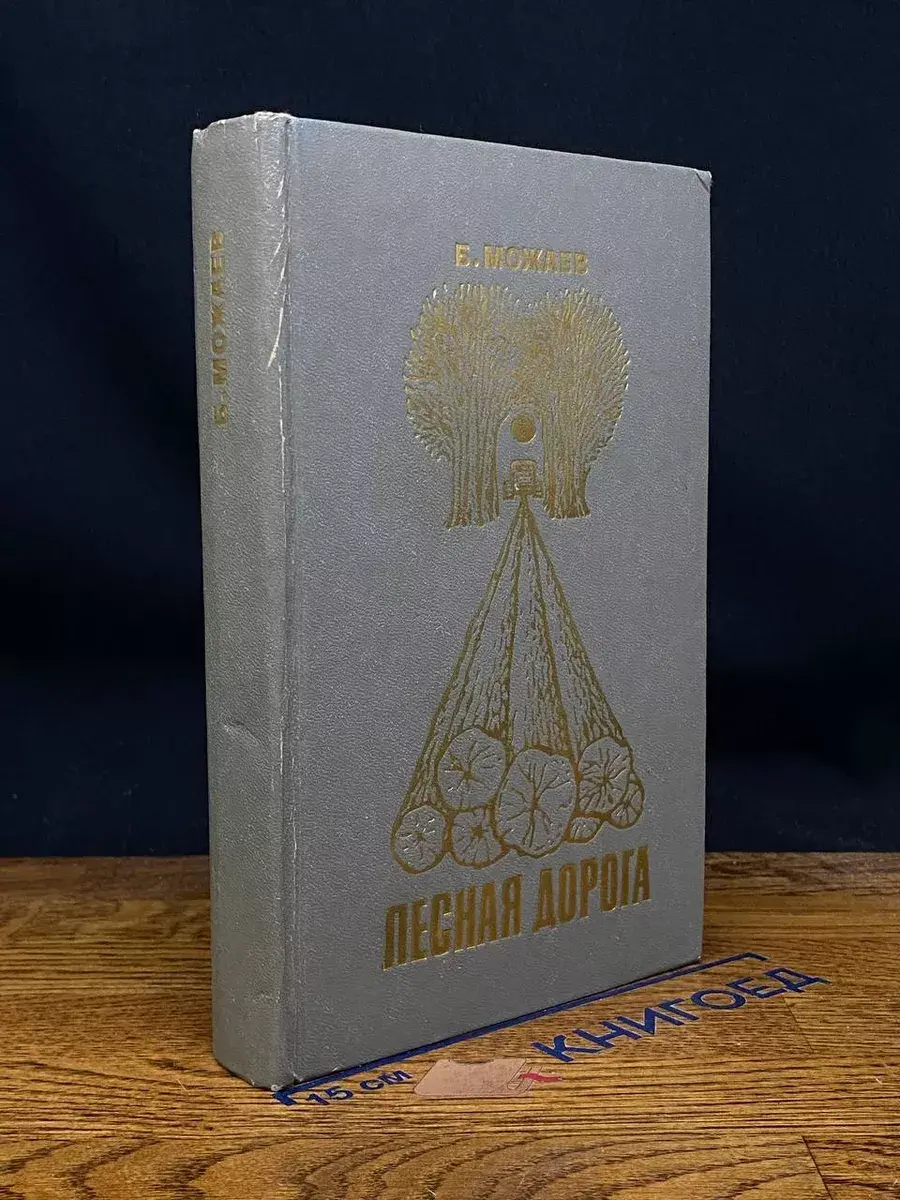 Лесная дорога
