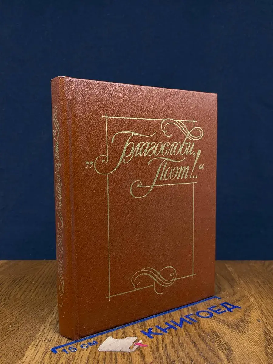 Благослови поэт. Книга 1