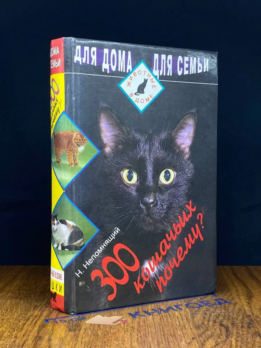 300 кошачьих почему