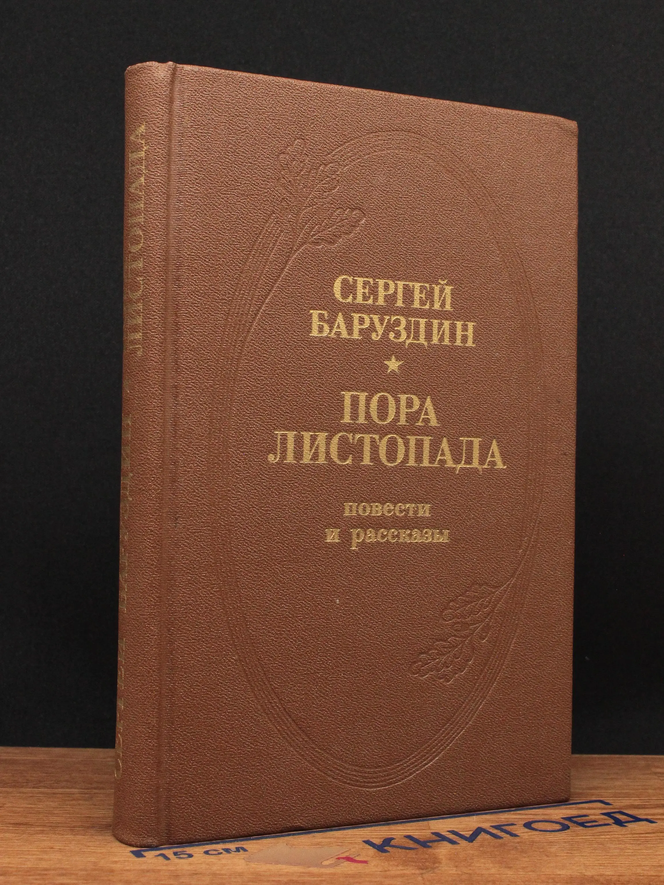 Пора листопада