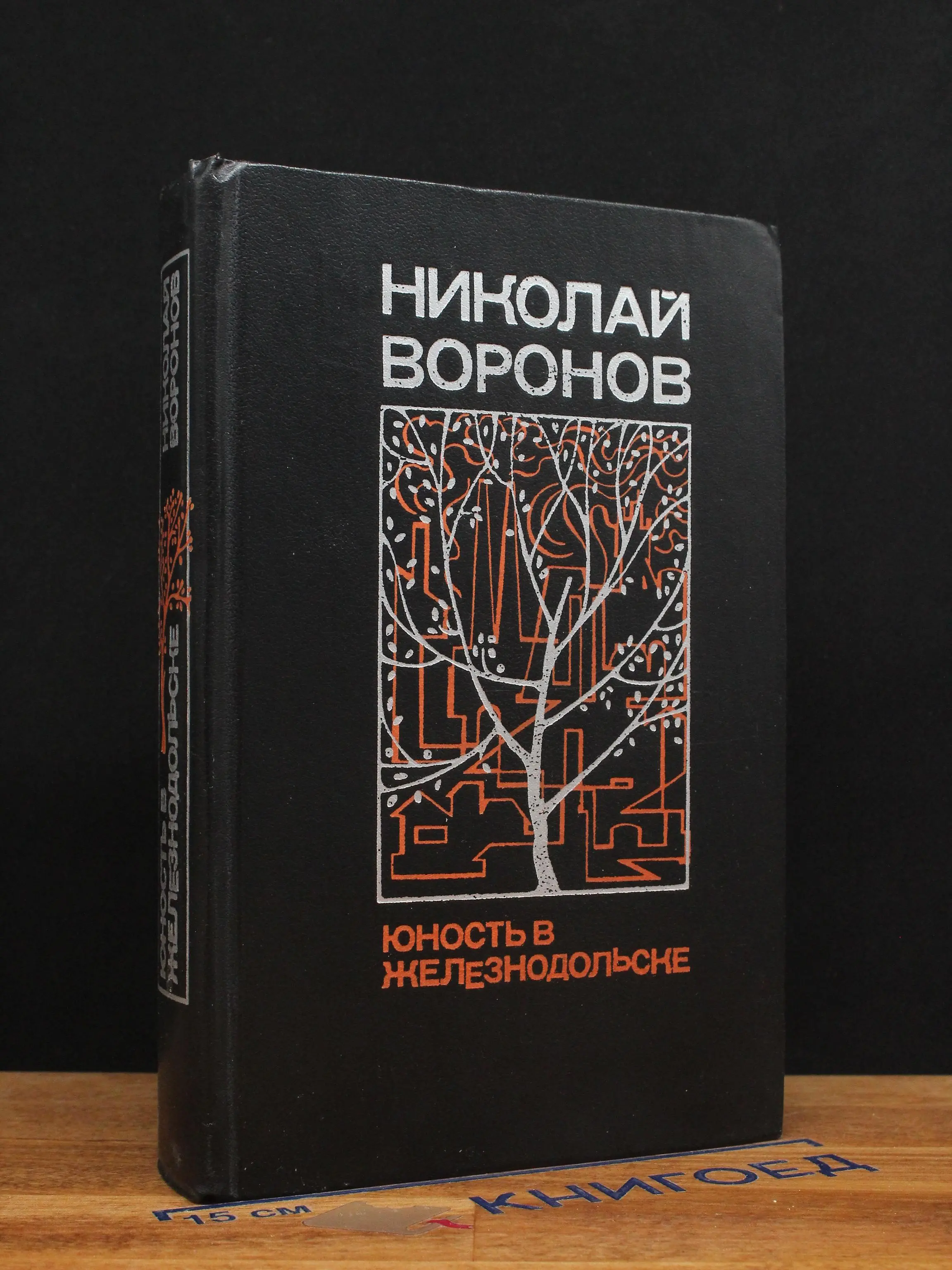 Юность в Железнодольске