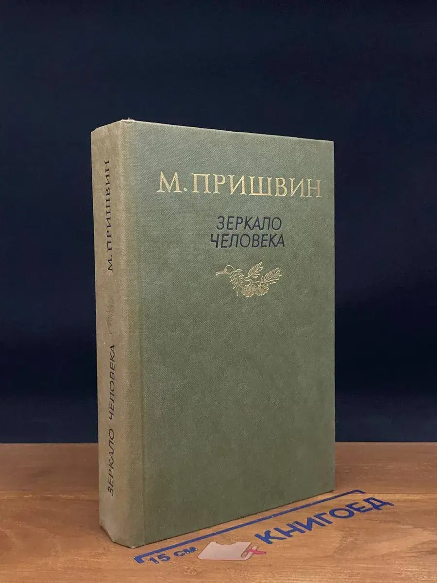 Зеркало человека