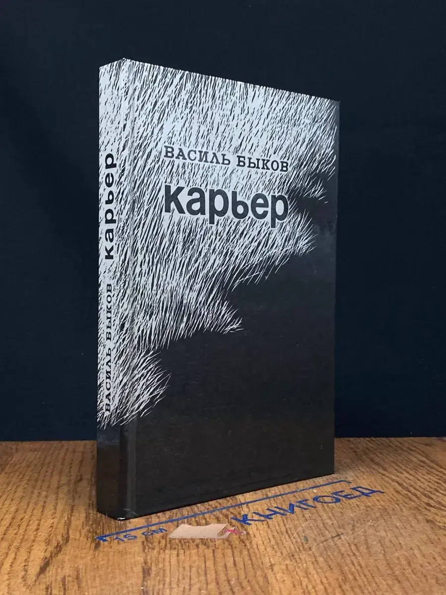 Карьер