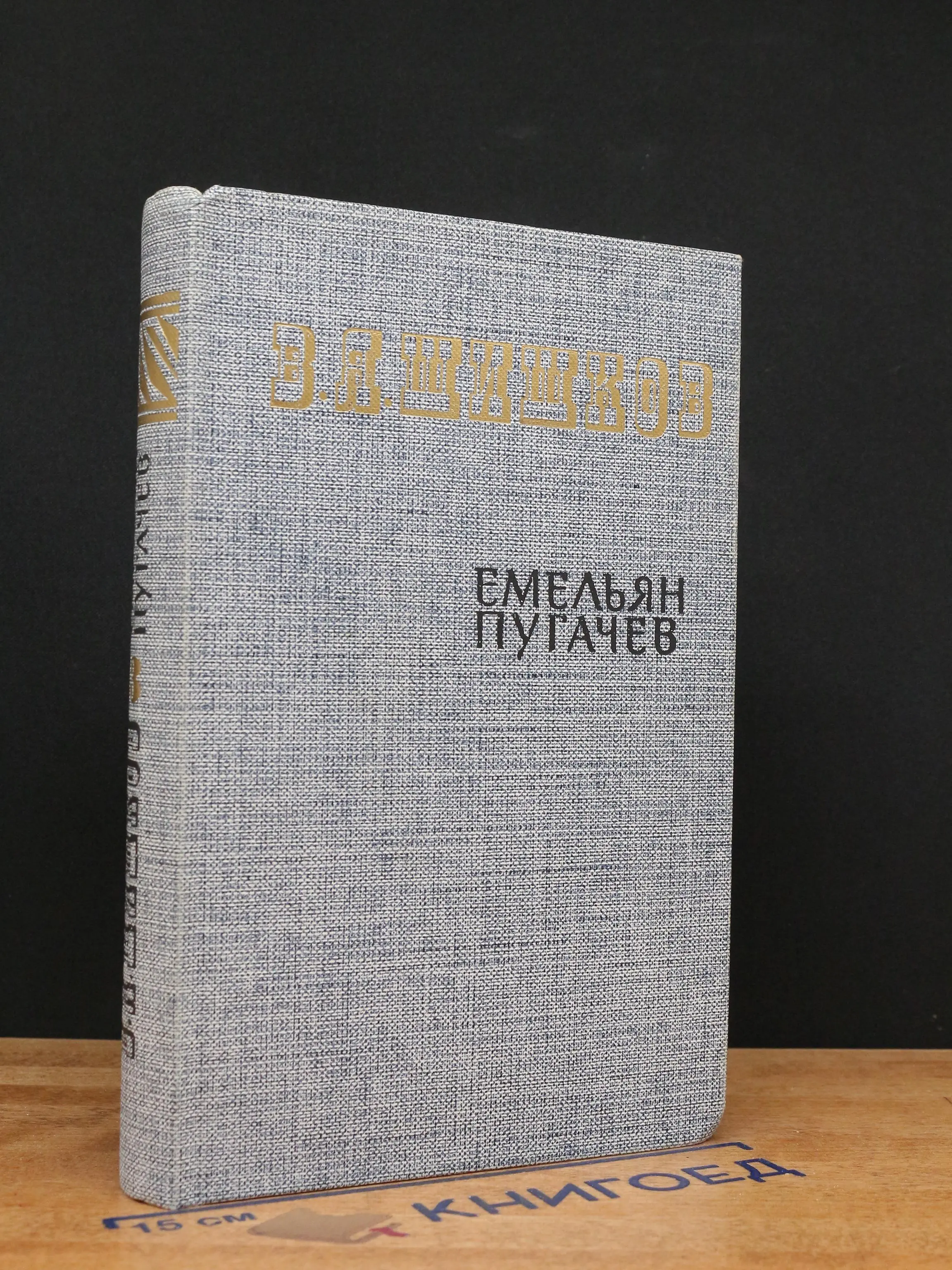 Е. Пугачев. Историческое повествование. Книга 3