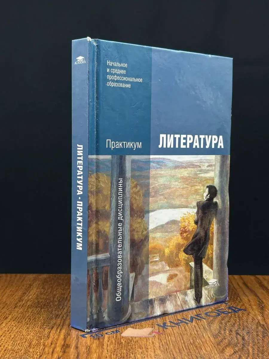 Литература. Практикум. Учебник