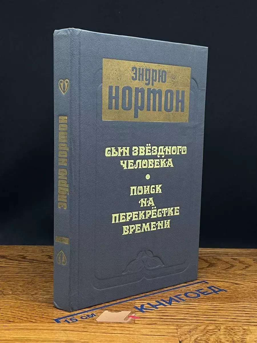 Сын звездного человека. Поиск на перекрестке времени