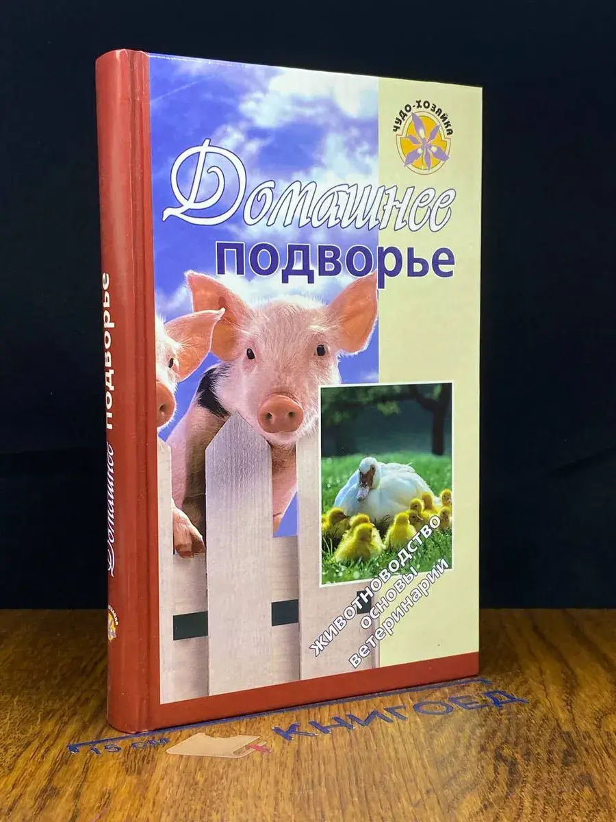 Домашнее подворье