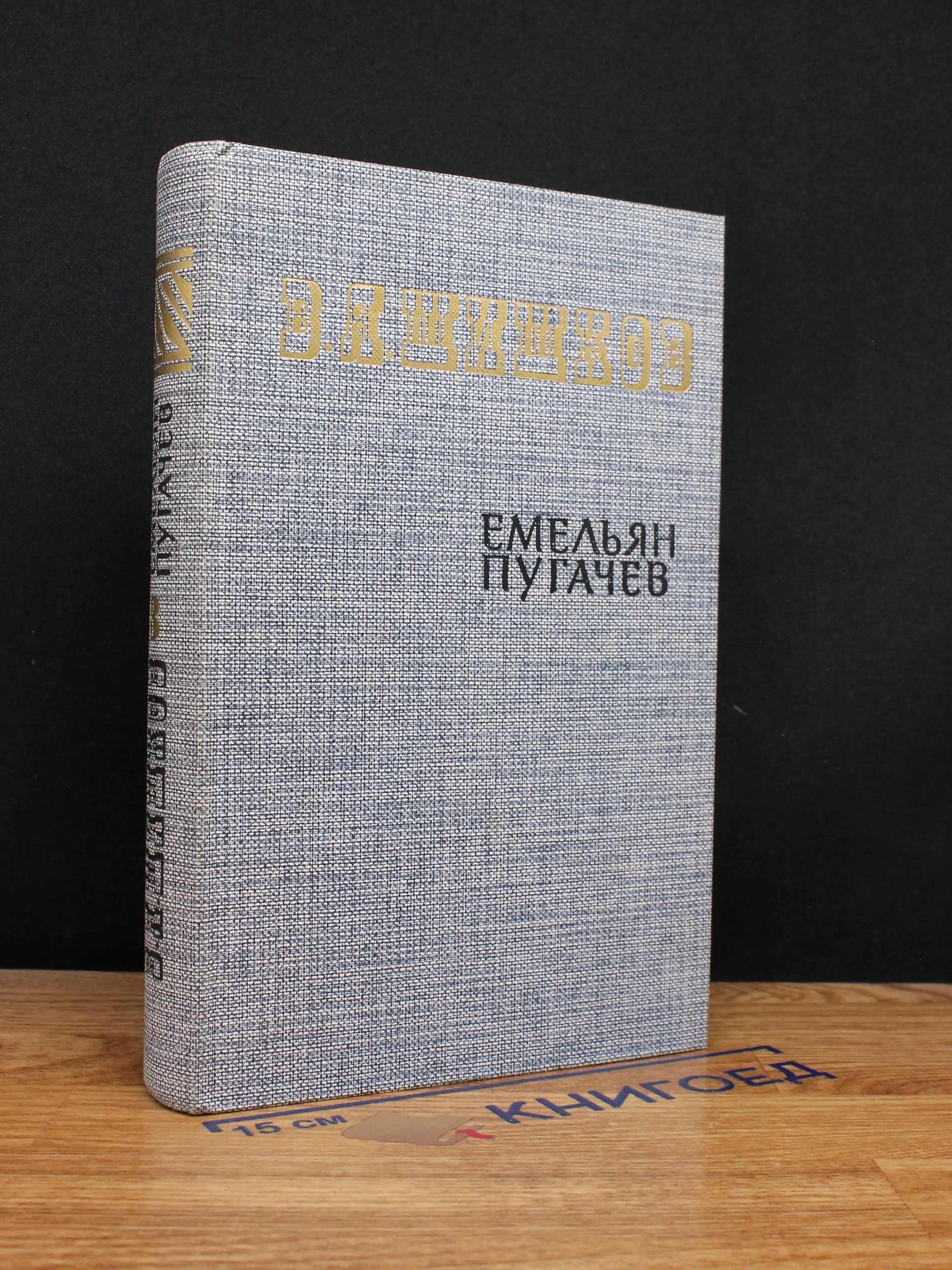 Емельян Пугачев. Историческое повествование. Книга 3