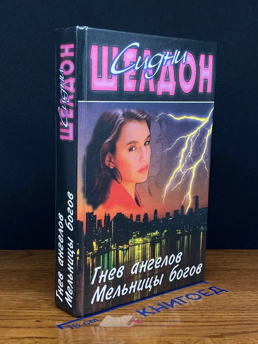 Гнев ангелов. Мельницы богов
