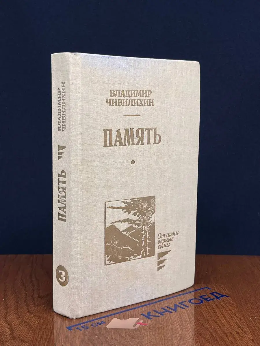 Память. В 2 книгах. Книга 2. Том 3