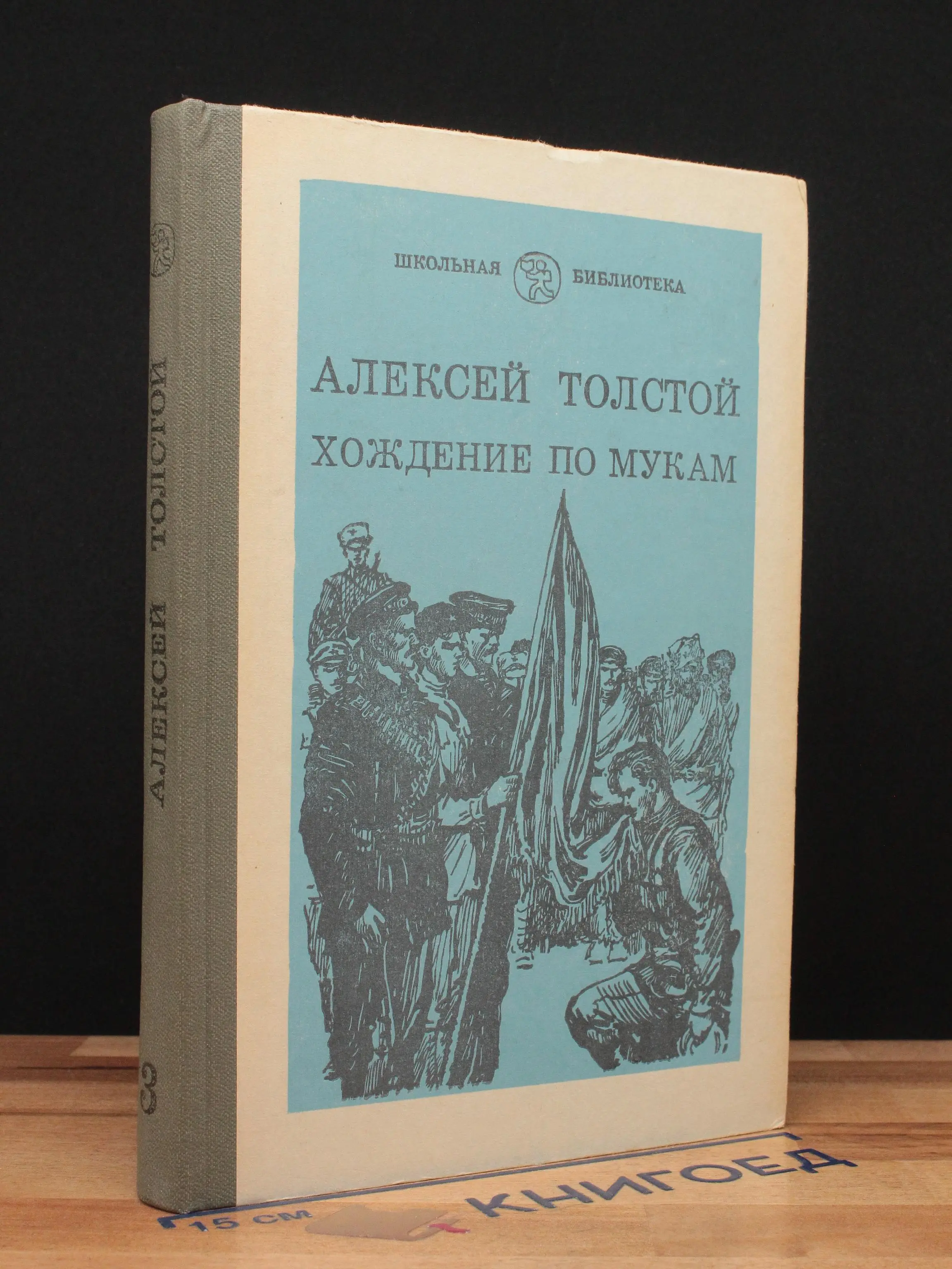 Хождение по мукам. Книга 3