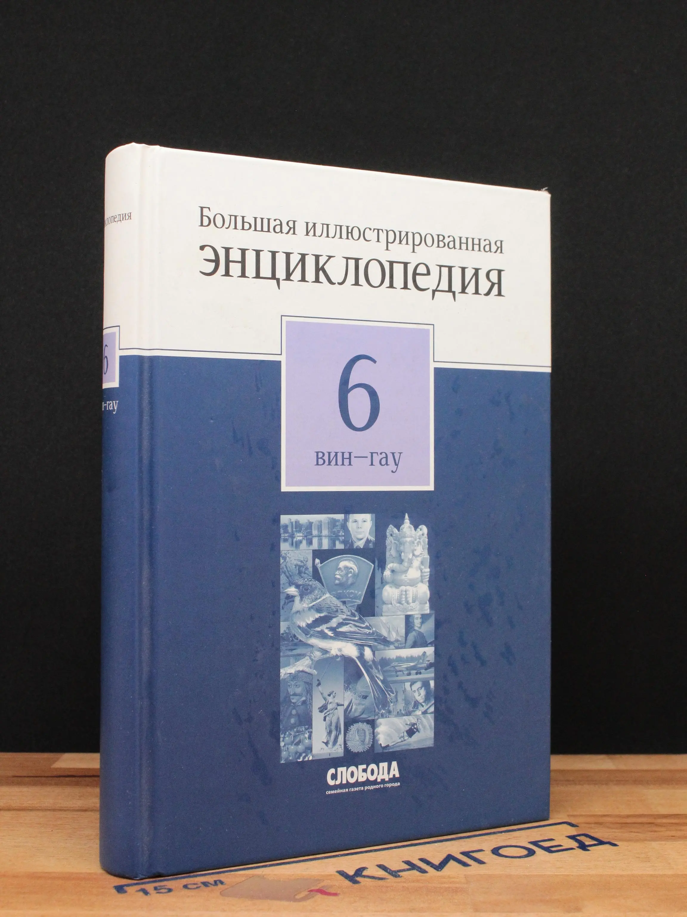 Большая иллюстрированная энциклопедия в 32 томах. Том 6