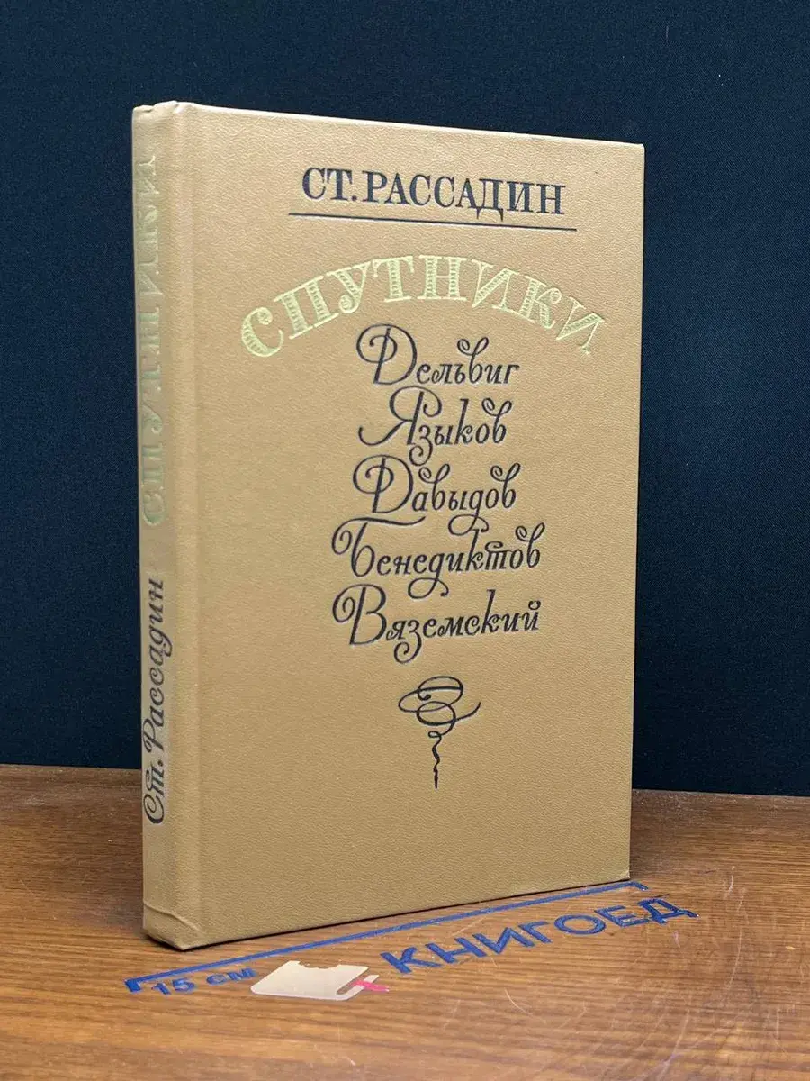 Спутники