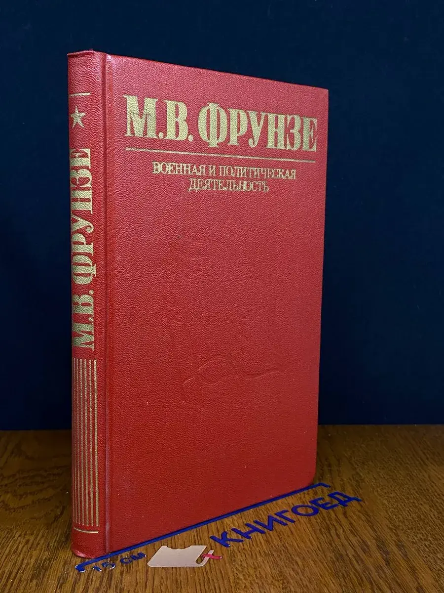 М. В. Фрунзе. Военная и политическая деятельность