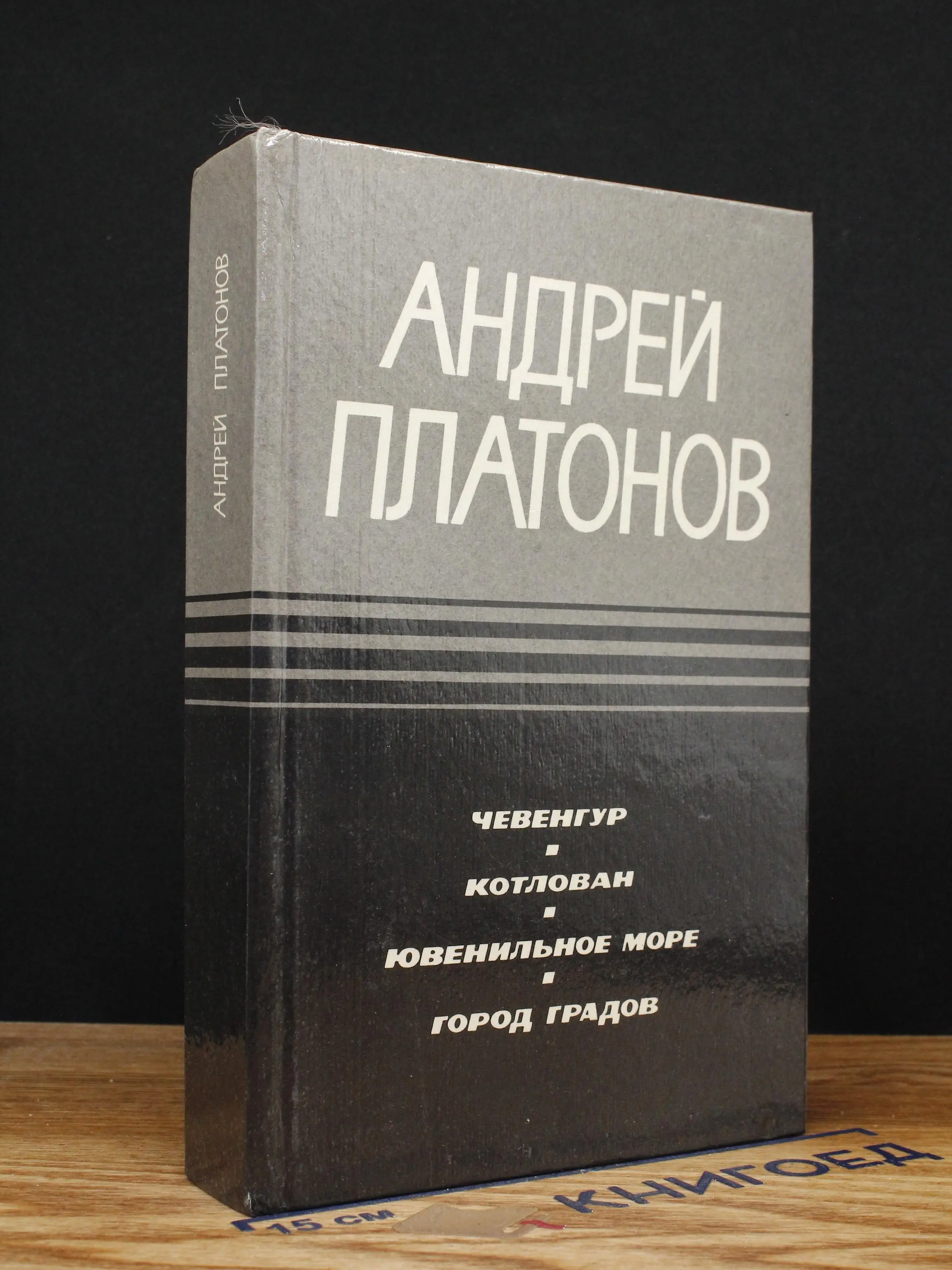 Чевенгур. Котлован. Ювенильное море. Город градов