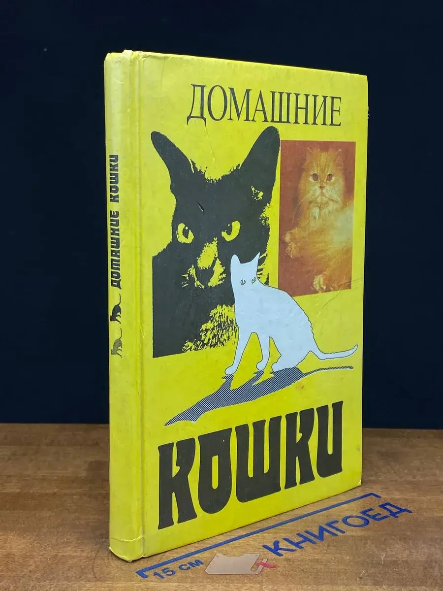 Домашние кошки