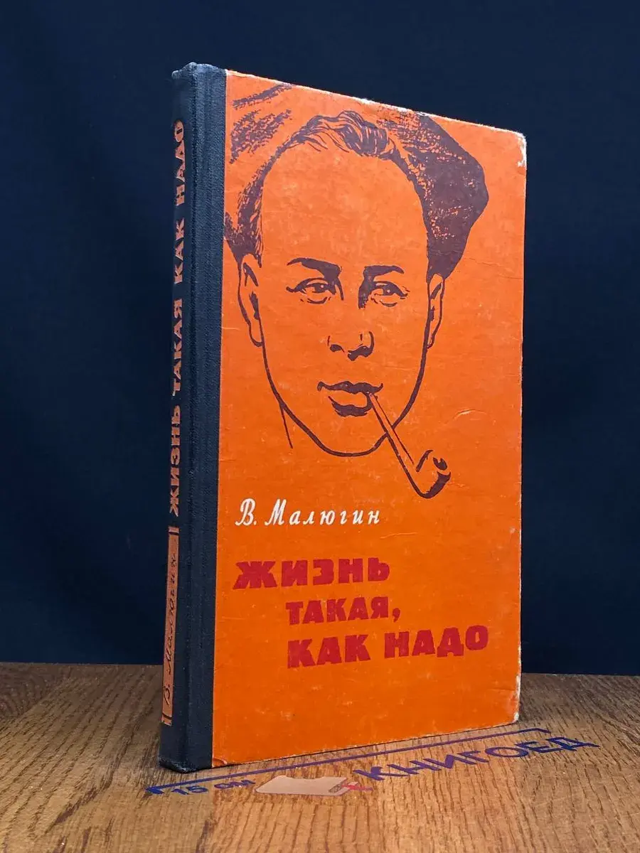 Жизнь такая, как надо