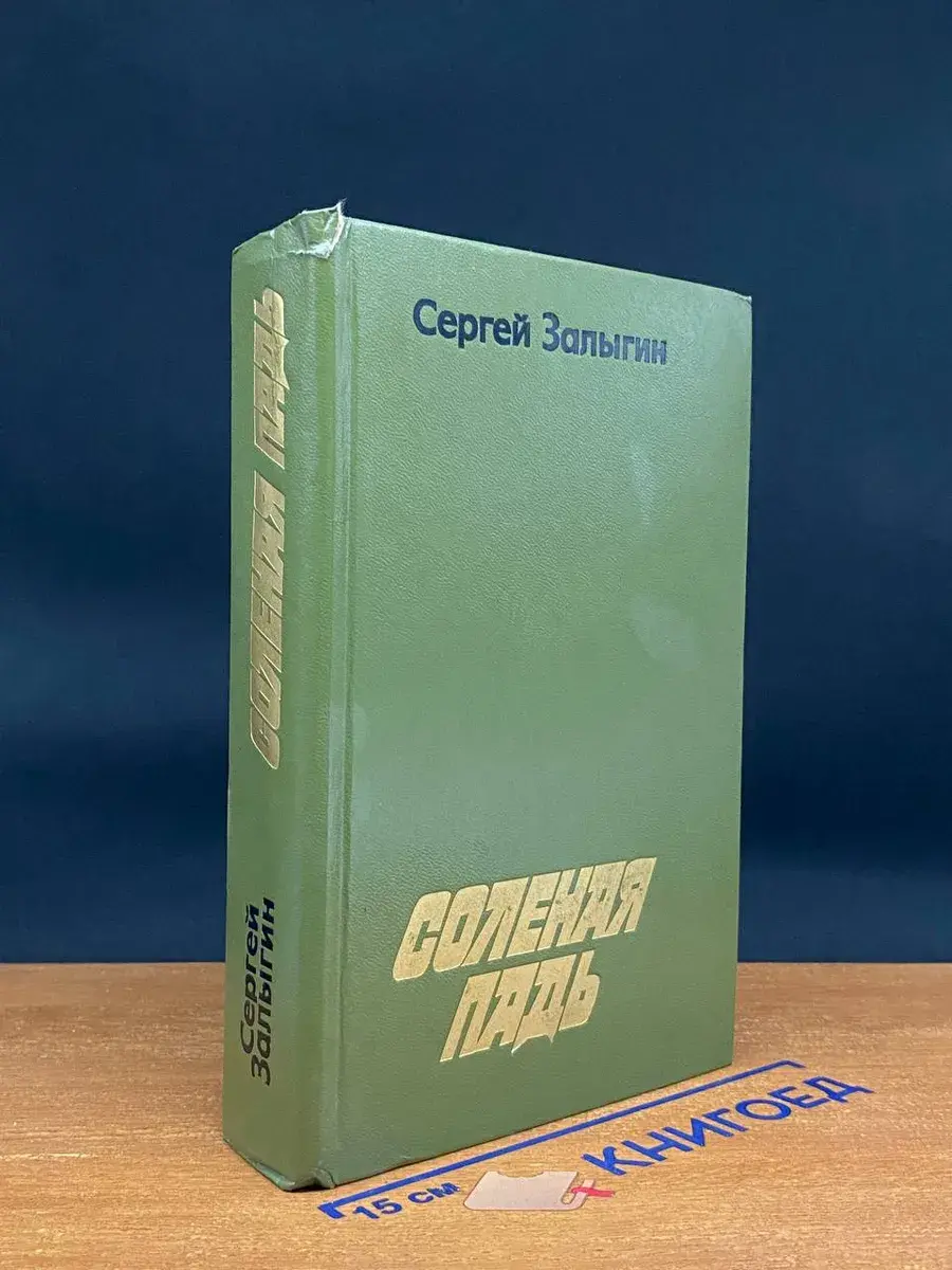 Соленая Падь