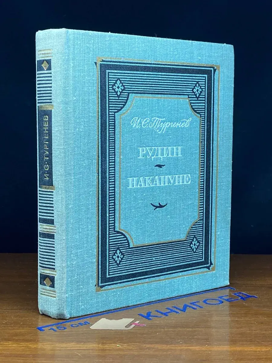 Рудин. Накануне