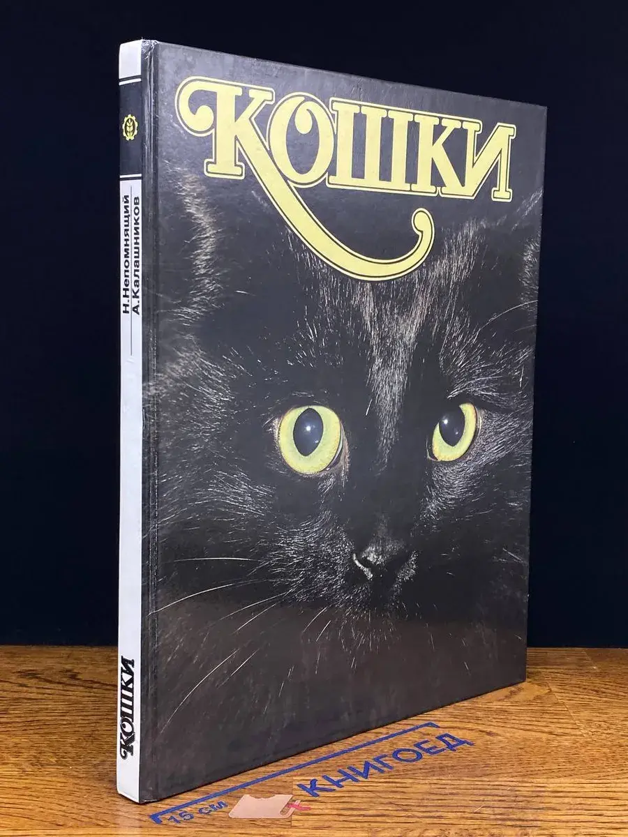Кошки