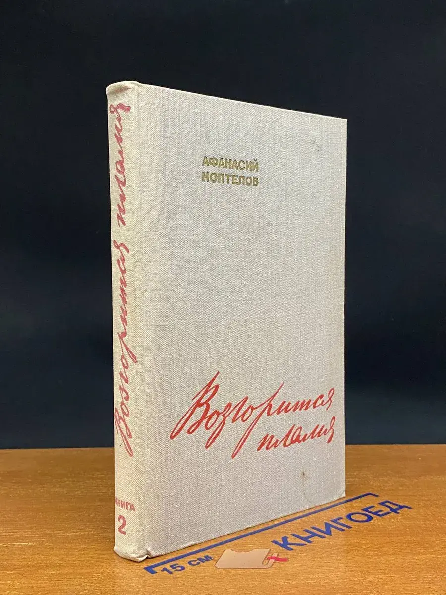 Возгорится пламя. Книга 2