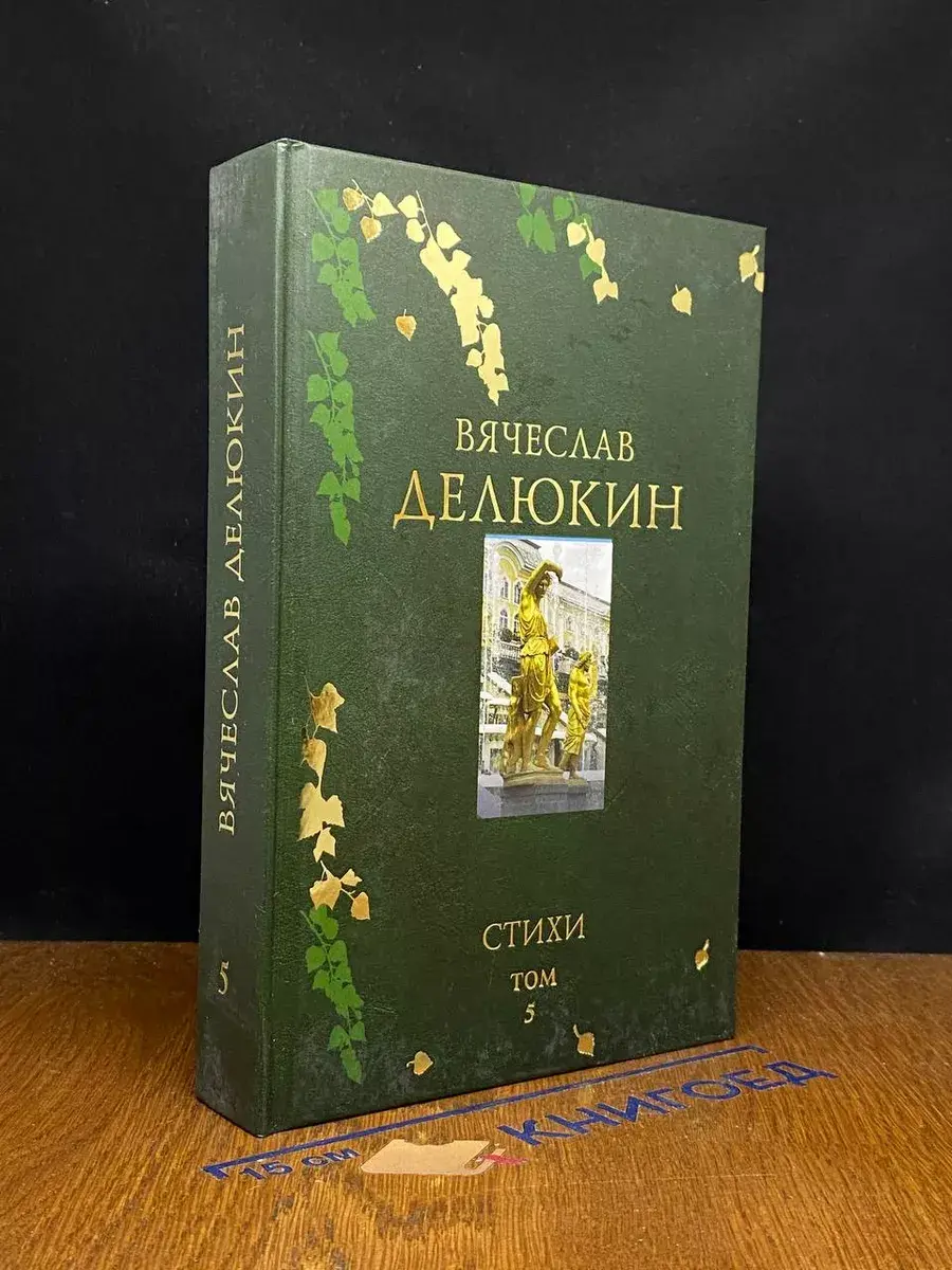 В. Делюкин. Поэтическое путешествие. Том 5