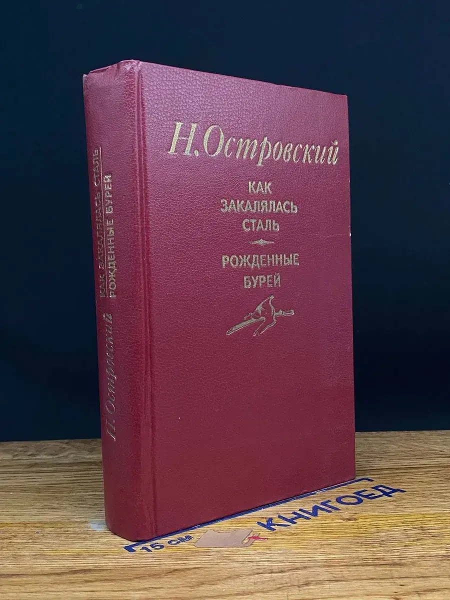 Как закалялась сталь. Рожденные бурей