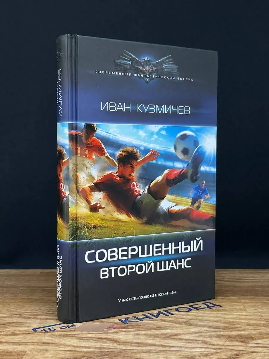 Совершенный. Второй шанс