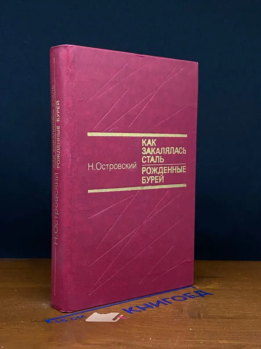Как закалялась сталь. Рожденные бурей