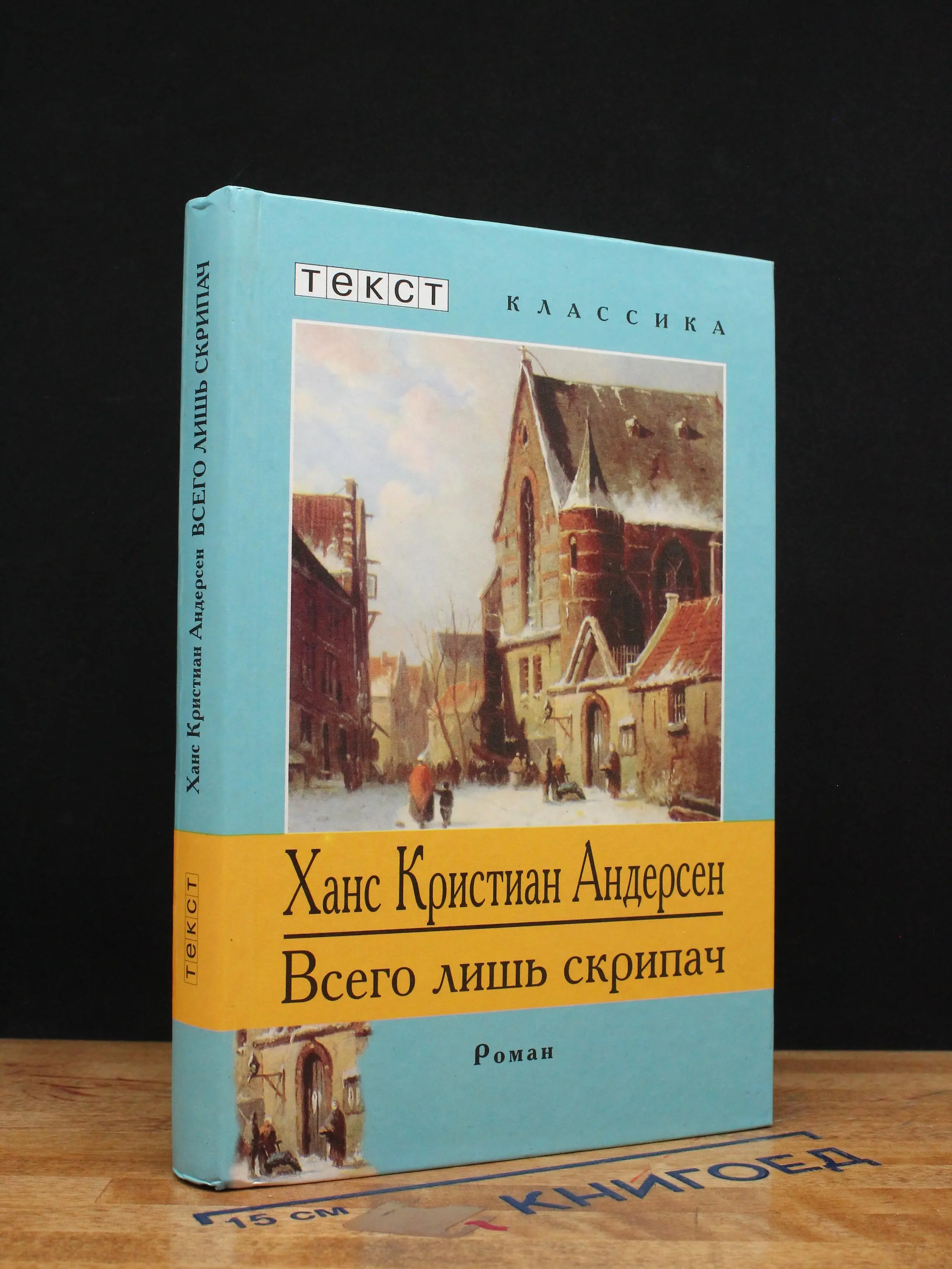 Всего лишь скрипач