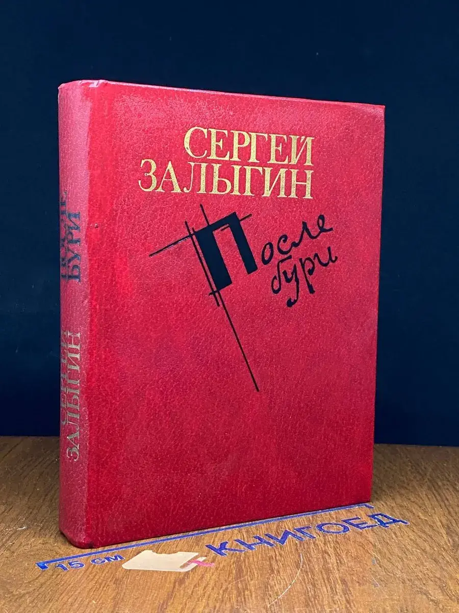 После бури. Книга 1