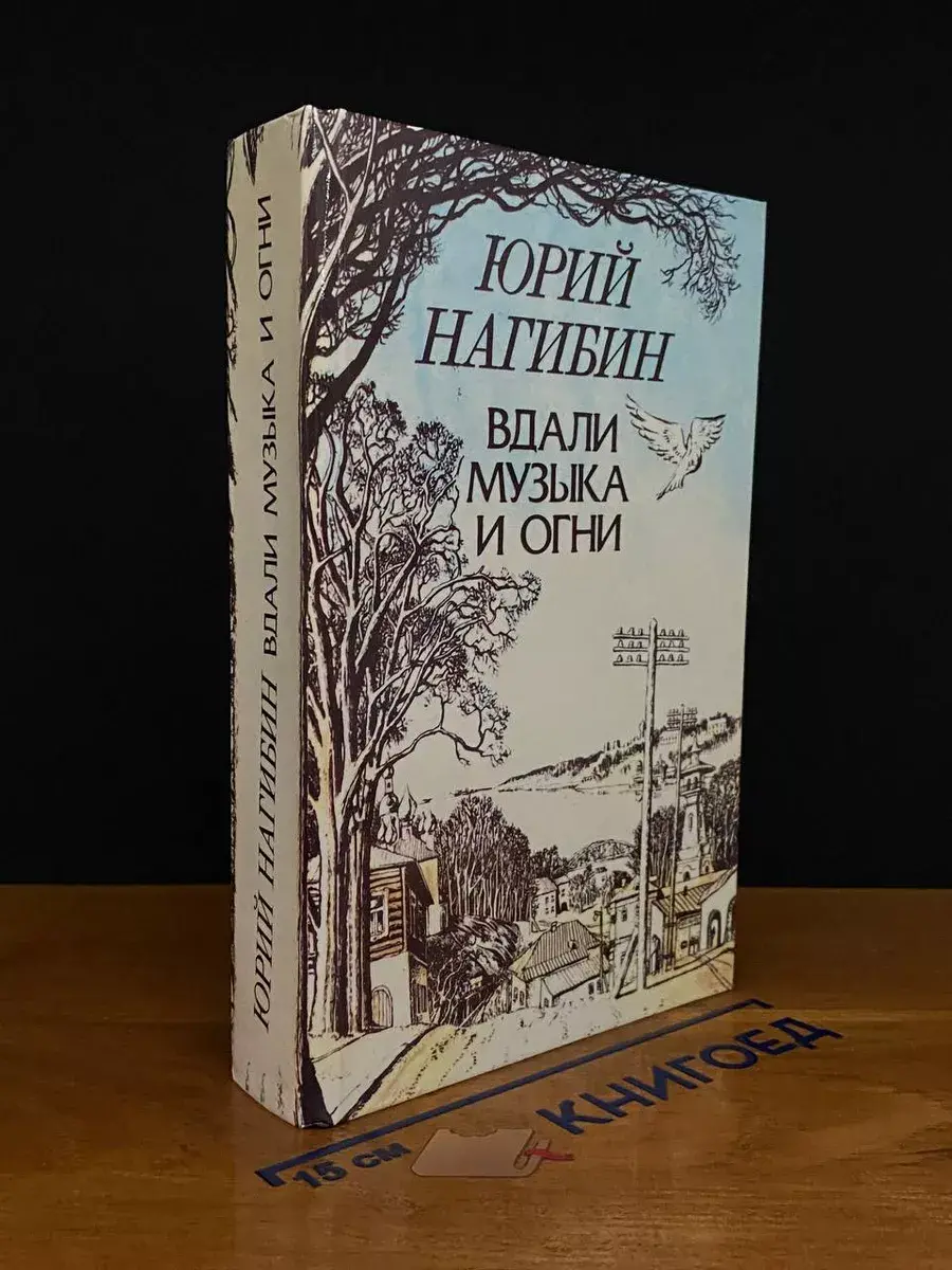 Вдали музыка и огни