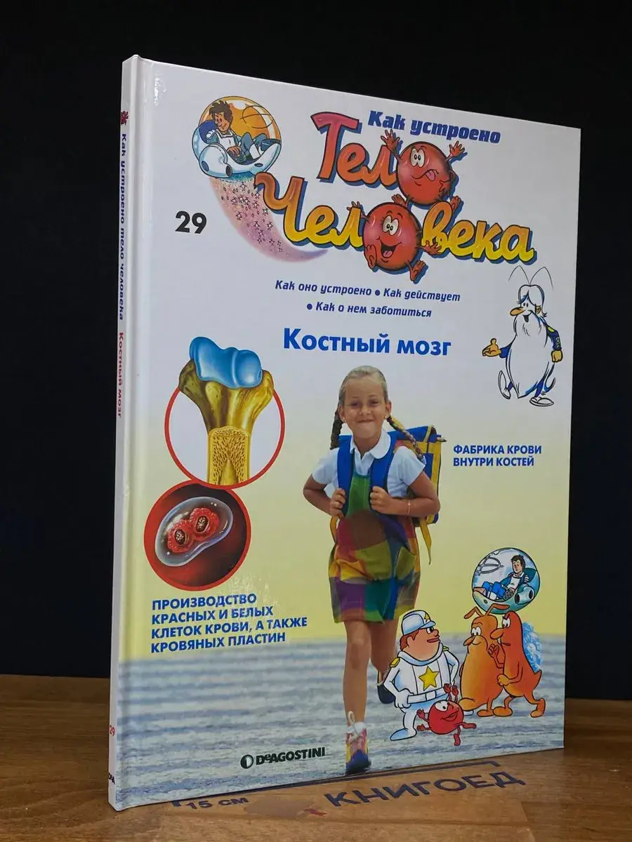 Как устроено тело человека. Выпуск 29. Костный мозг