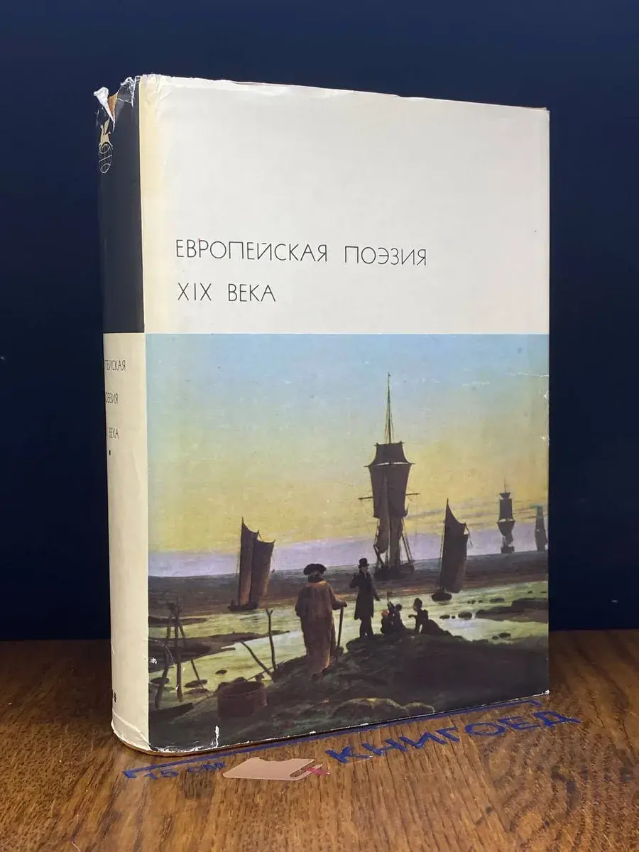 Европейская поэзия XIX века
