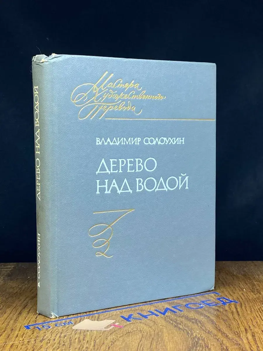Дерево над водой