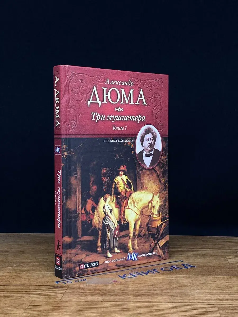 Три мушкетера. Книга 2