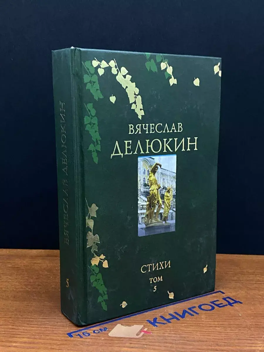 В. Делюкин. Стихи. Том 5