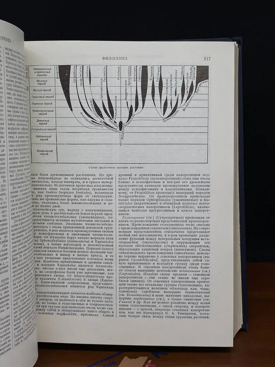 Фото 3