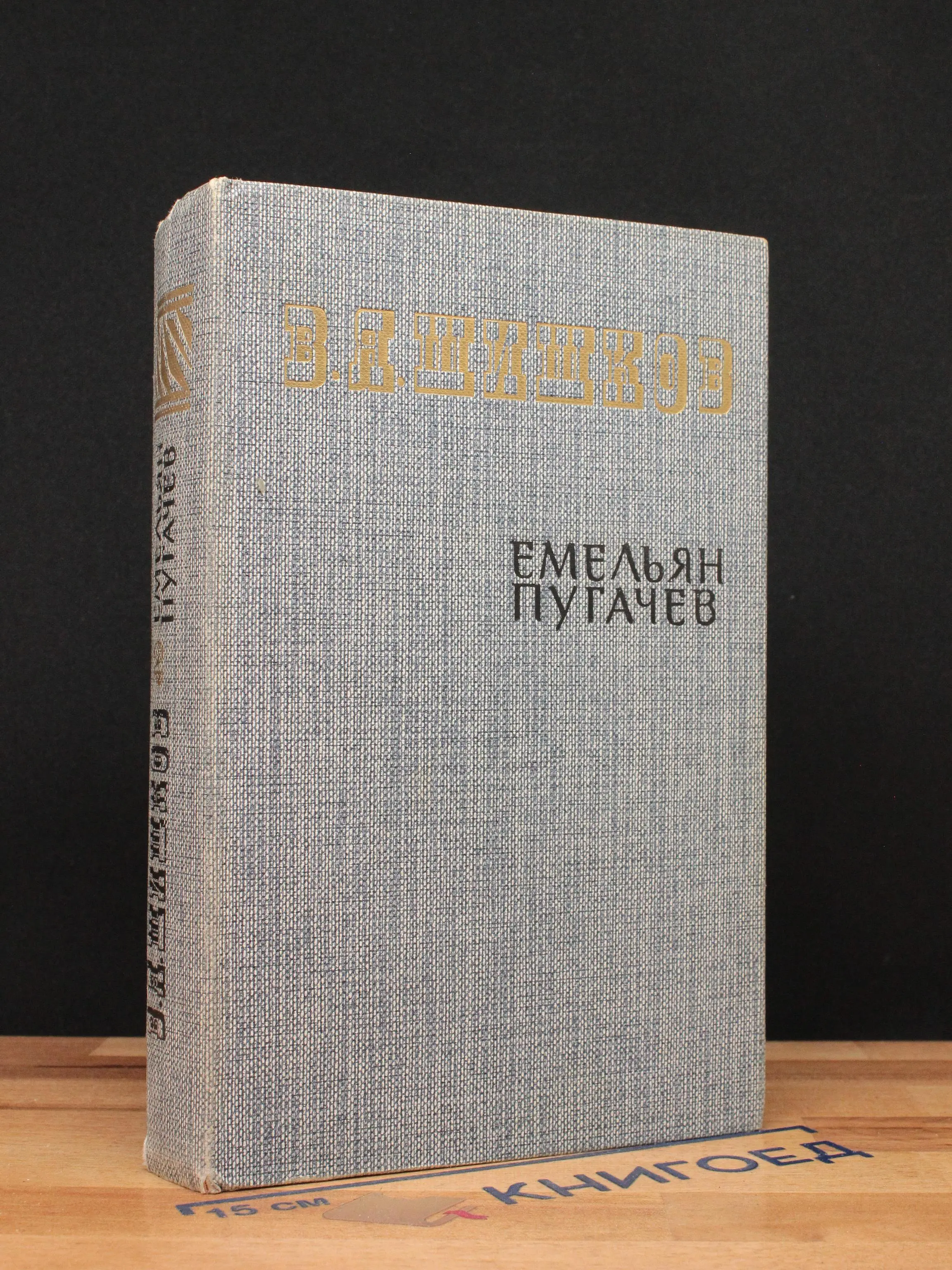 Емельян Пугачев. Историческое повествование. Книга 2