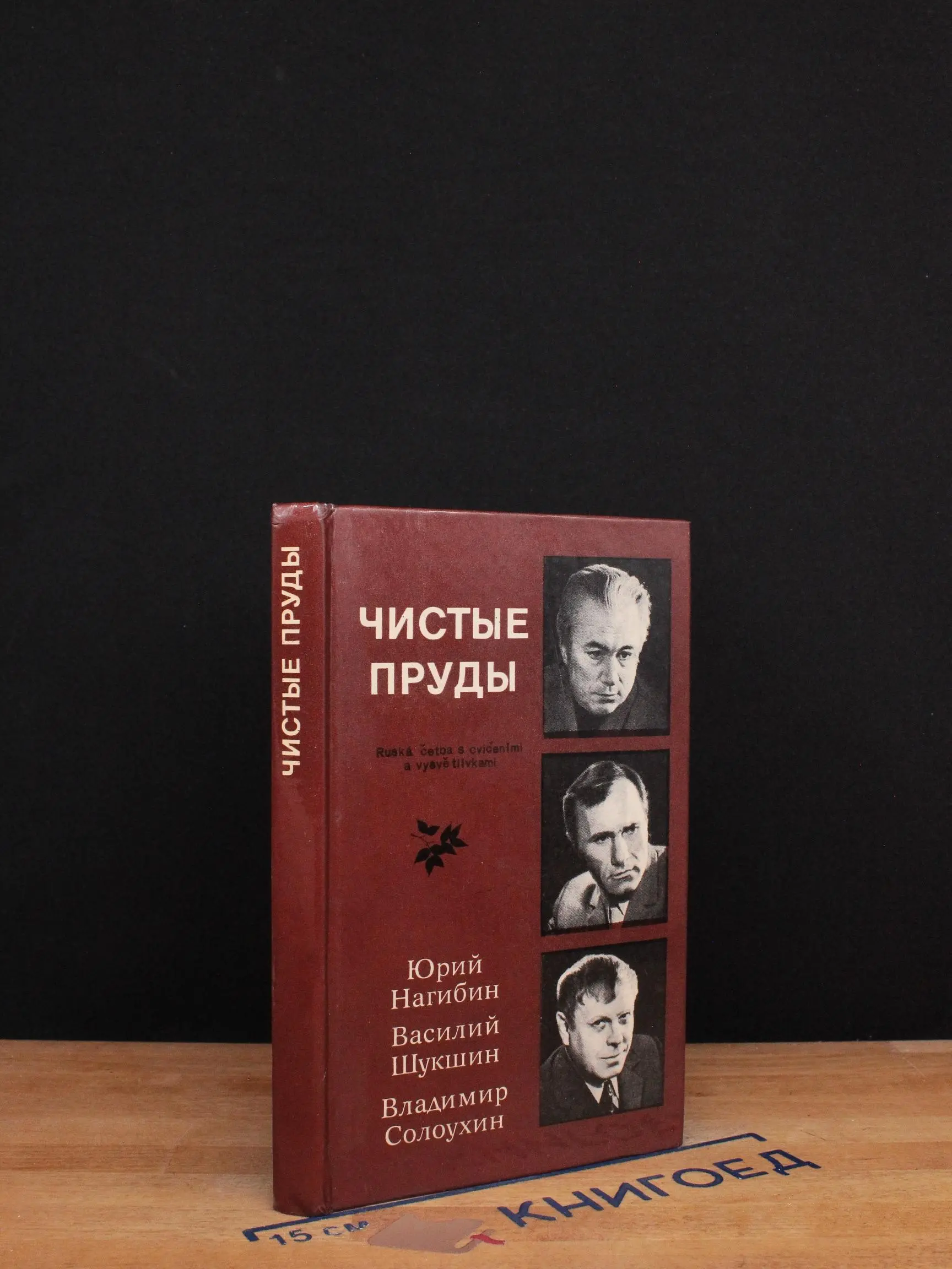 Чистые пруды