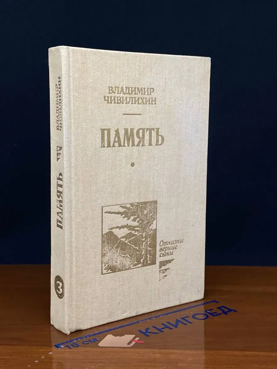 Память. В 2 книгах, 3 томах. Книга 2. Том 3