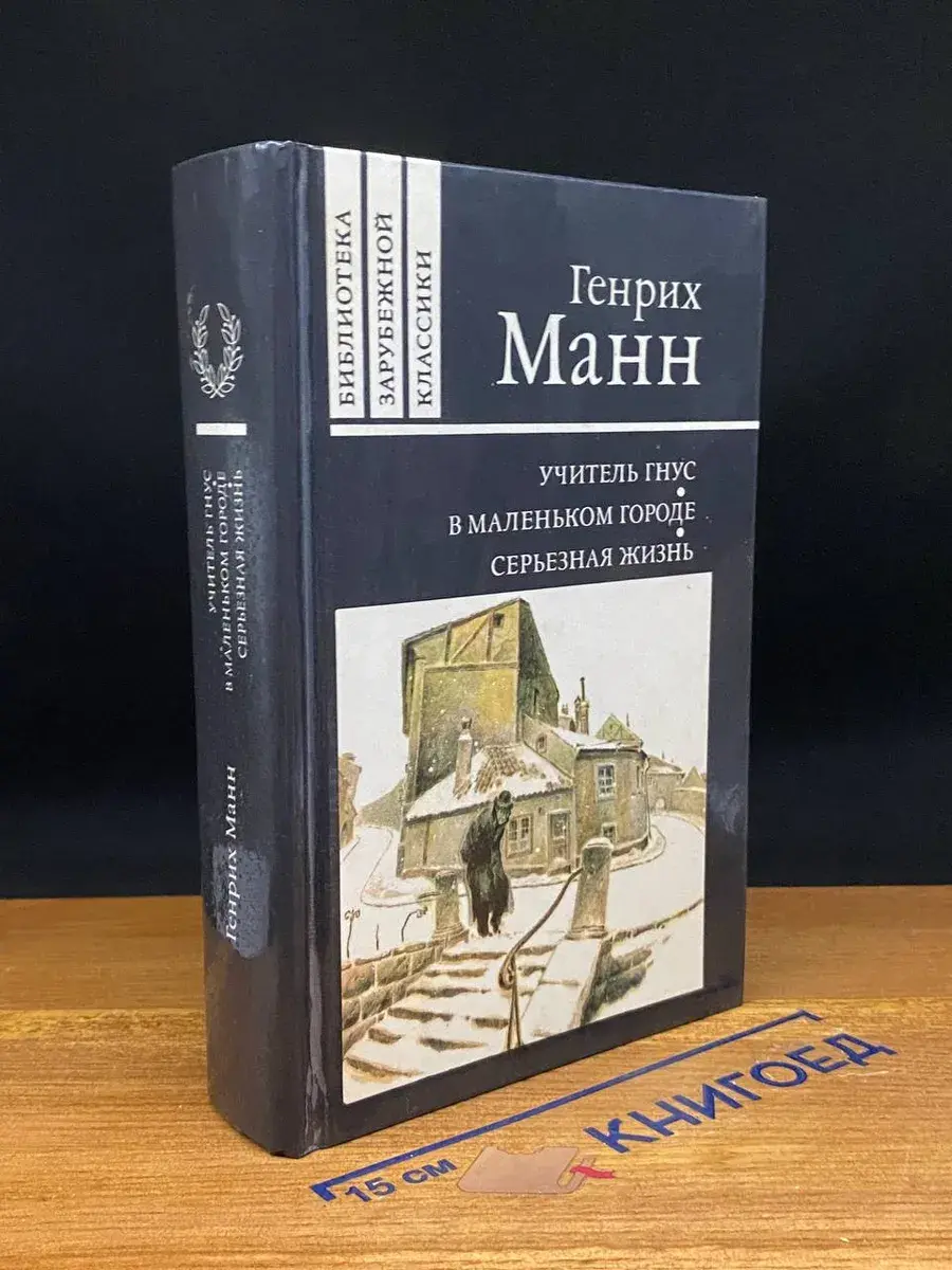 Учитель Гнус. В маленьком городе. Серьезная жизнь