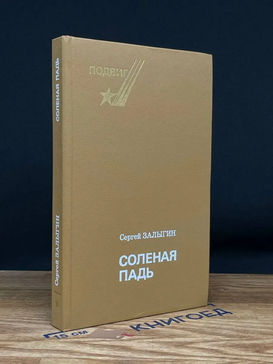 Соленая Падь
