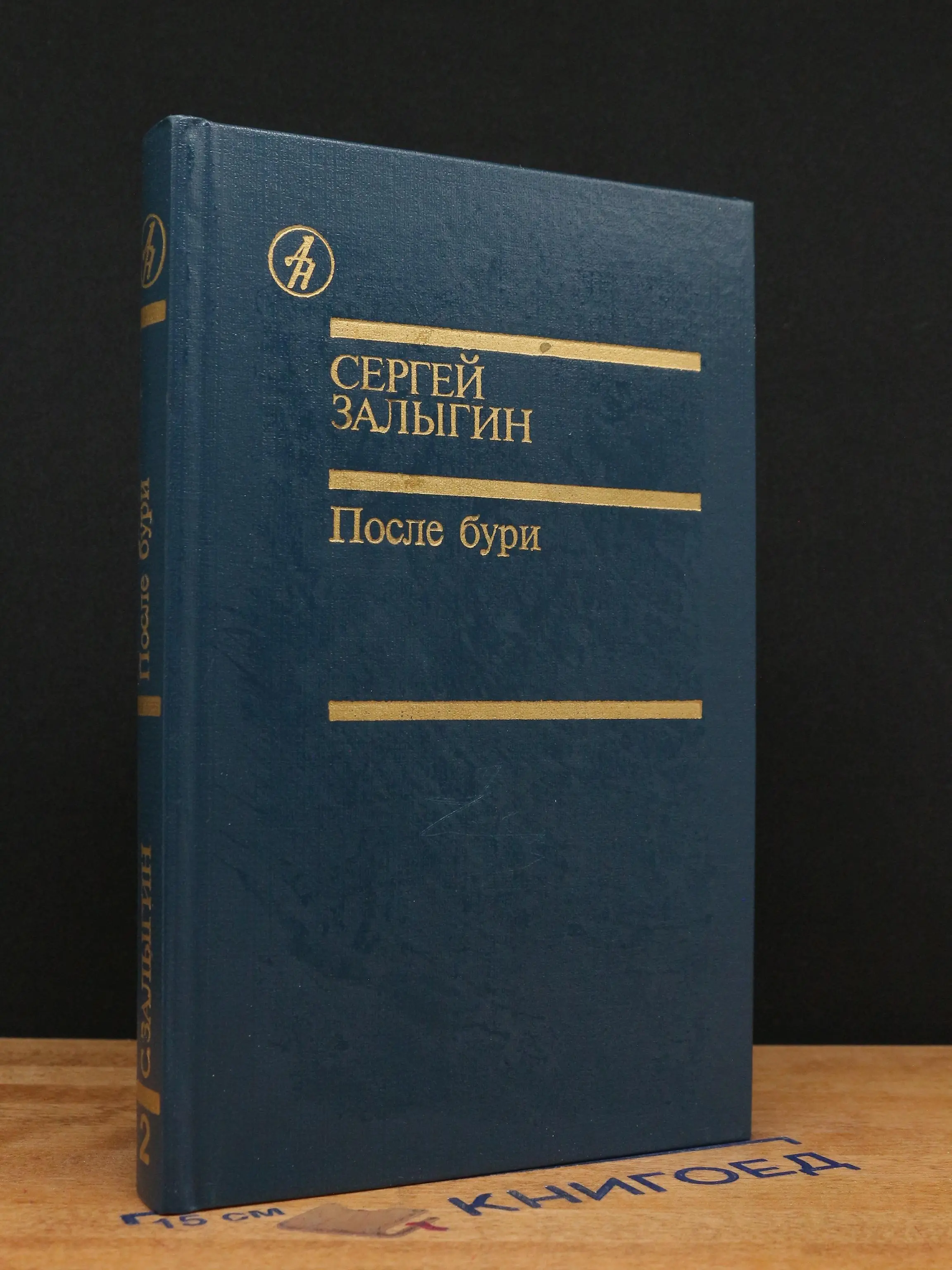 После бури. Книга 2