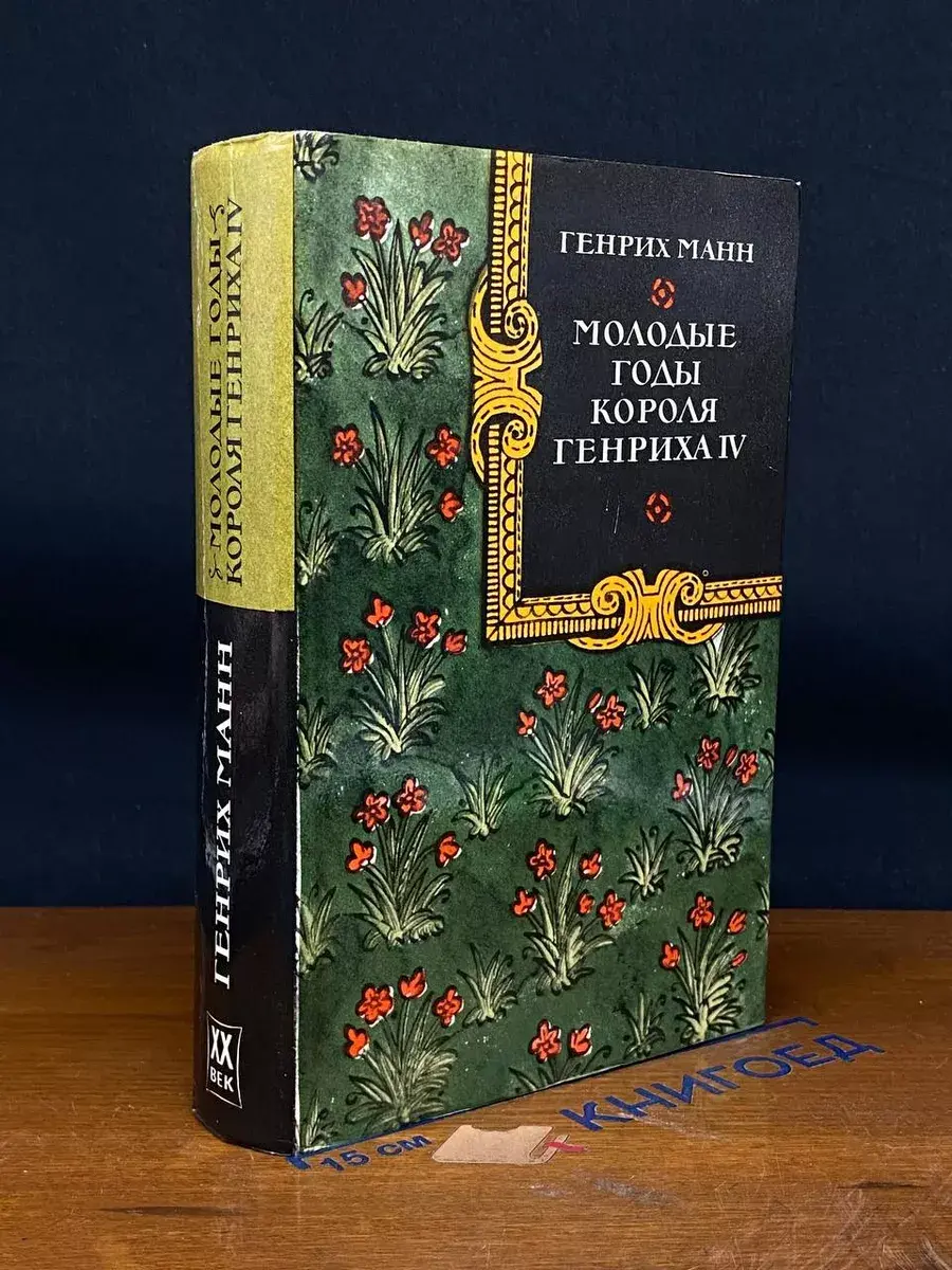 Молодые годы короля Генриха IV
