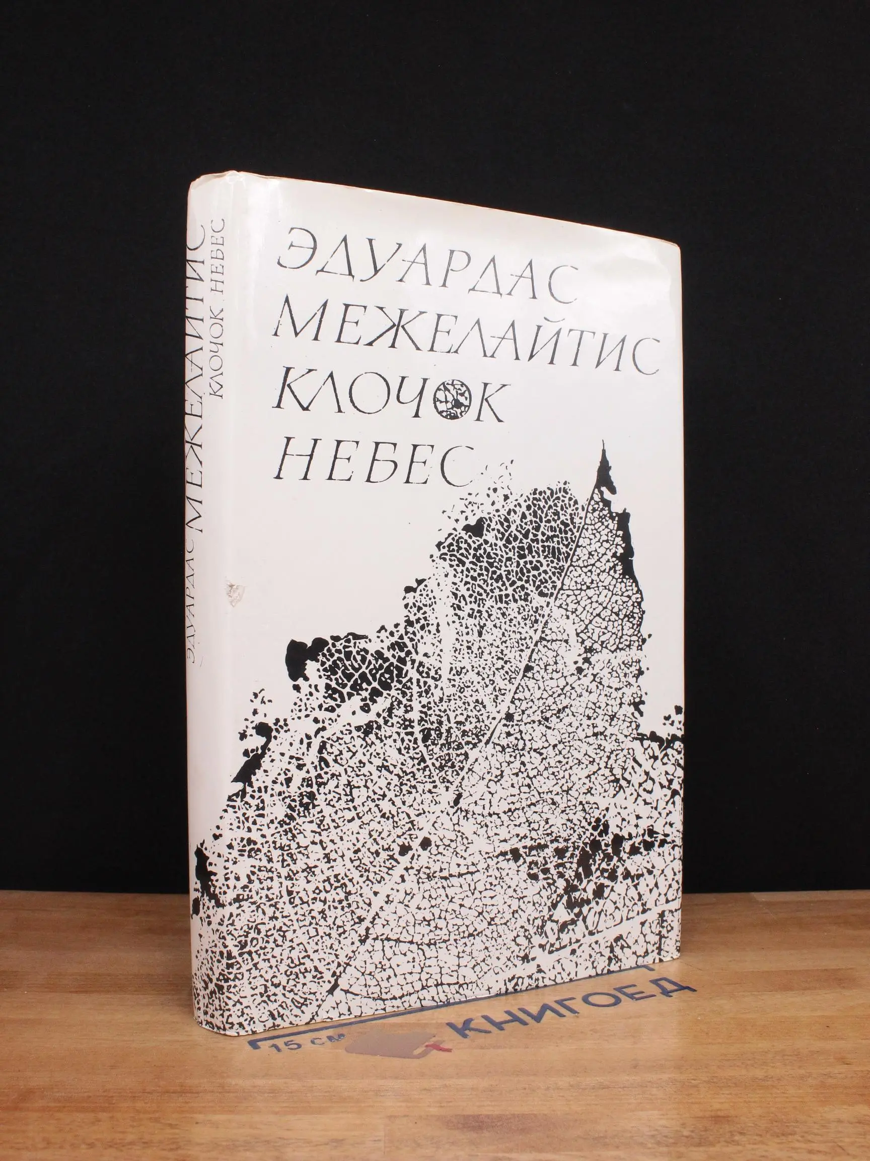 Клочок небес. Стихи и поэма