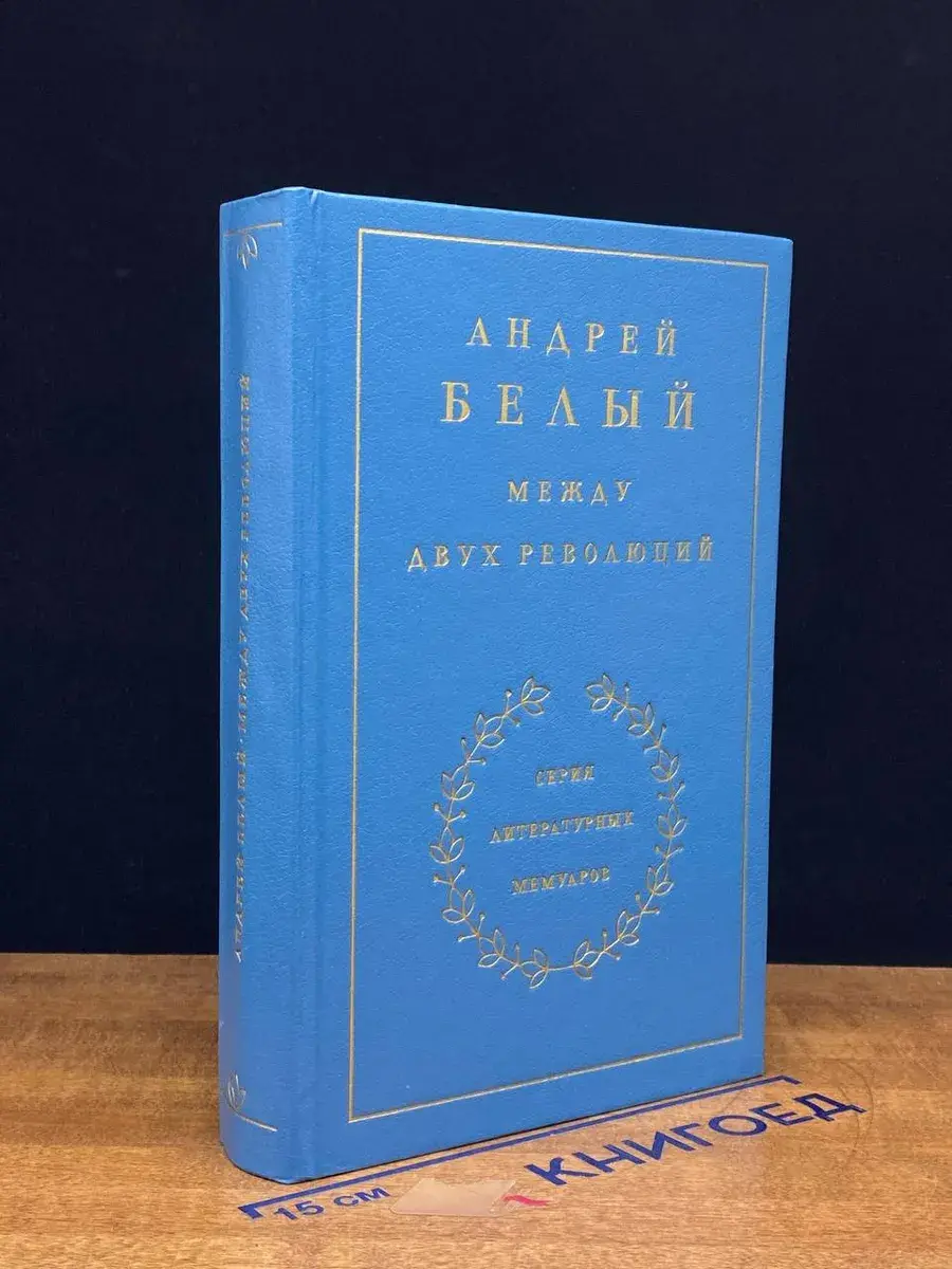 Андрей Белый. Между двух революций. Книга 3
