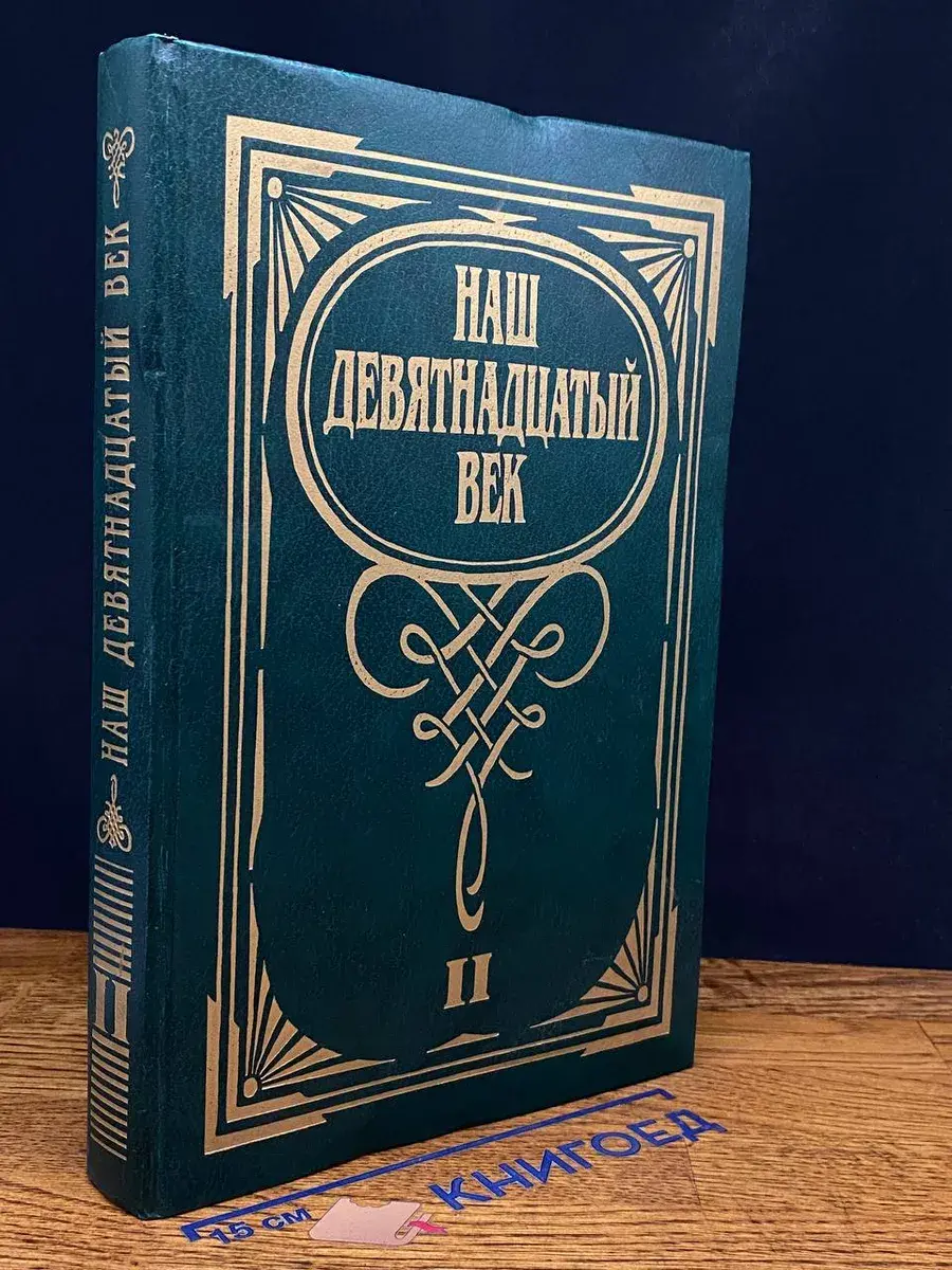 Наш Девятнадцатый век. Том 2