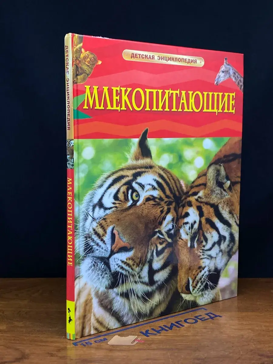 Млекопитающие