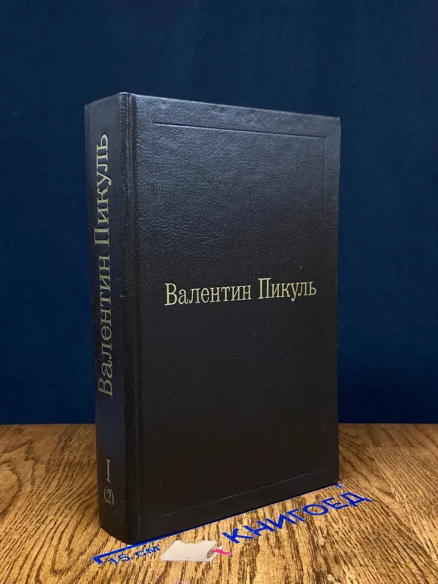 Слово и дело. Том 1. Книга 2